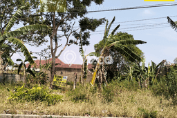 Tanah Dijual Lokasi Way Halim, Bandar Lampung Luas 998m2 Legalitas Aman Tanah Dijual Lokasi Way Halim, Bandar Lampung Luas 998m2 Legalitas Aman