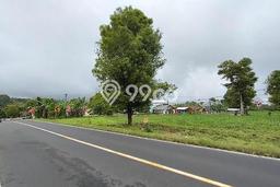 Lahan Kosong Dijual di Sonder, Minahasa, Luas 4439m2 Area Strategis Lahan Kosong Dijual di Sonder, Minahasa, Luas 4439m2 Area Strategis