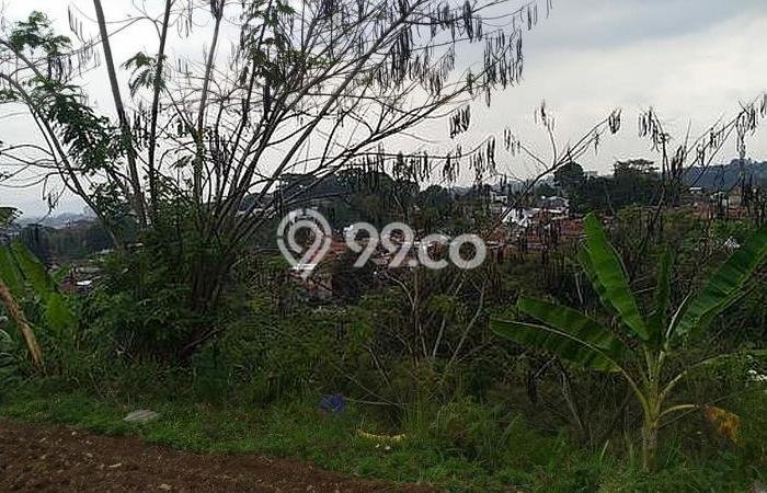 Tanah Disewakan Lokasi Bandung Seluas 3890m2 Strategis dan Aman Tanah Disewakan Lokasi Bandung Seluas 3890m2 Strategis dan Aman