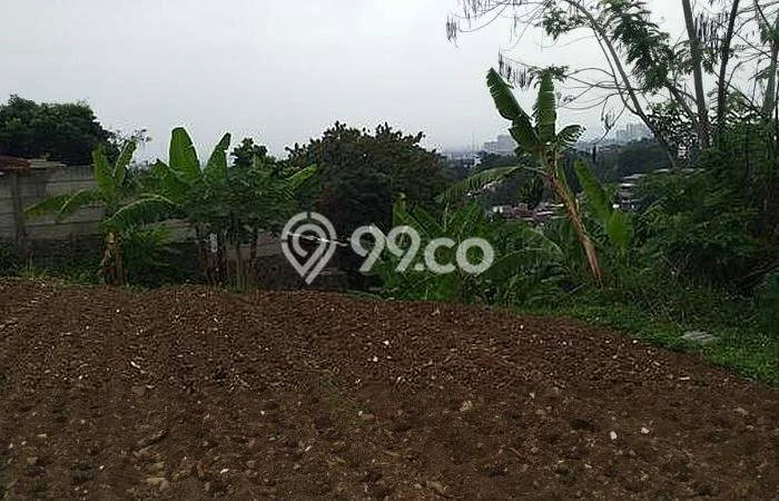 Tanah Disewakan Lokasi Bandung Seluas 3890m2 Strategis dan Aman Tanah Disewakan Lokasi Bandung Seluas 3890m2 Strategis dan Aman