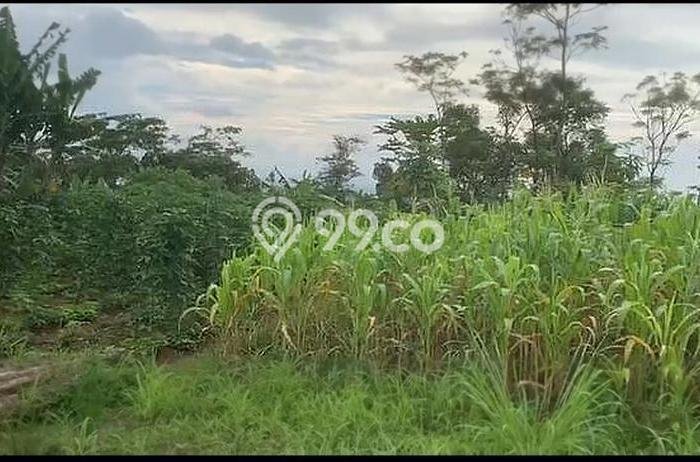Tanah Kavling untuk Dijual di Batujajar Bandung Barat 1800m2 Tanah Kavling untuk Dijual di Batujajar Bandung Barat 1800m2