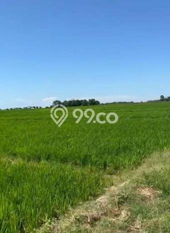 Lahan Investasi Lokasi Kertajati Majalengka SHM Lahan Investasi Lokasi Kertajati Majalengka SHM