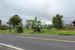 Lahan Strategis di Sonder Dijual dengan Luas 2590m2 Lahan Strategis di Sonder Dijual dengan Luas 2590m2