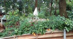 Tanah Kosong Dijual di Depok dengan Area 4075m2 Tanah Kosong Dijual di Depok dengan Area 4075m2