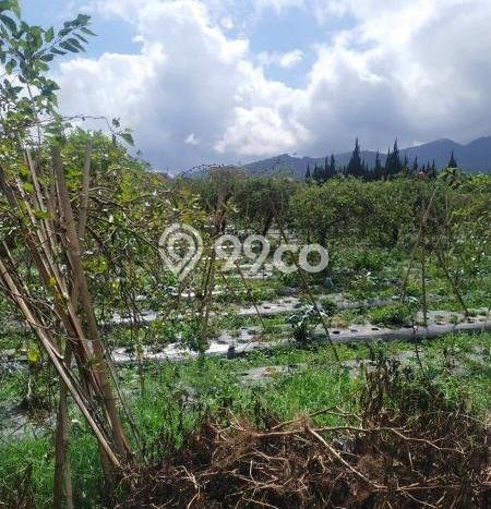 Tanah untuk Dijual Lokasi Lembang, Bandung Barat Luas 8750m2 SHM Tanah untuk Dijual Lokasi Lembang, Bandung Barat Luas 8750m2 SHM