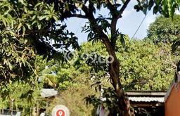 Lahan Investasi Lokasi Kupang Tengah Kupang SHM Lahan Investasi Lokasi Kupang Tengah Kupang SHM