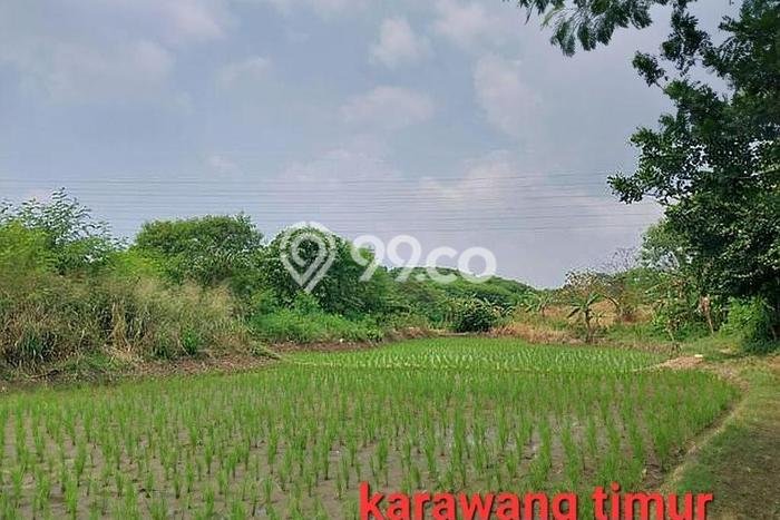 Lahan Strategis di Karawang Timur Dijual dengan Luas 2.5e+06m2 Lahan Strategis di Karawang Timur Dijual dengan Luas 2.5e+06m2
