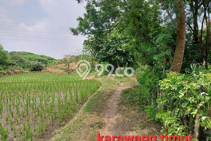 Lahan Strategis di Karawang Timur Dijual dengan Luas 2.5e+06m2 Lahan Strategis di Karawang Timur Dijual dengan Luas 2.5e+06m2