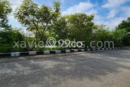 Lahan Kosong Dijual di Kupang dengan Area 980m2 Lahan Kosong Dijual di Kupang dengan Area 980m2