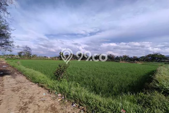 Tanah Kavling Dijual di Gede Bage, Bandung dengan Luas Tanah 3000m2 Tanah Kavling Dijual di Gede Bage, Bandung dengan Luas Tanah 3000m2
