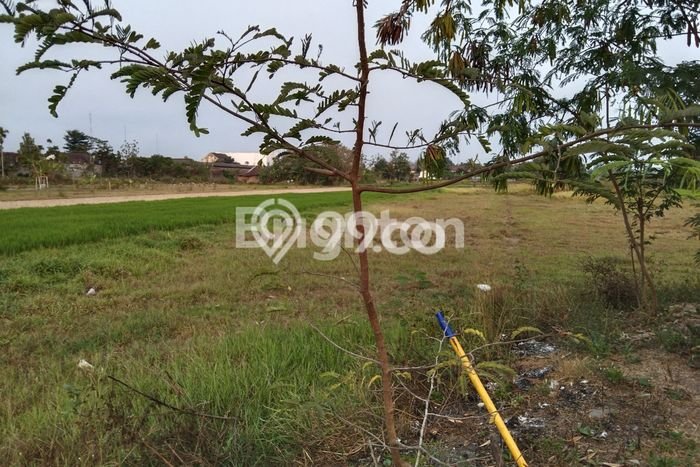 Tanah Kawasan Godean, Luas 1655m2m², Dekat Godean, Sleman, Sleman Tanah Kawasan Godean, Luas 1655m2m², Dekat Godean, Sleman, Sleman