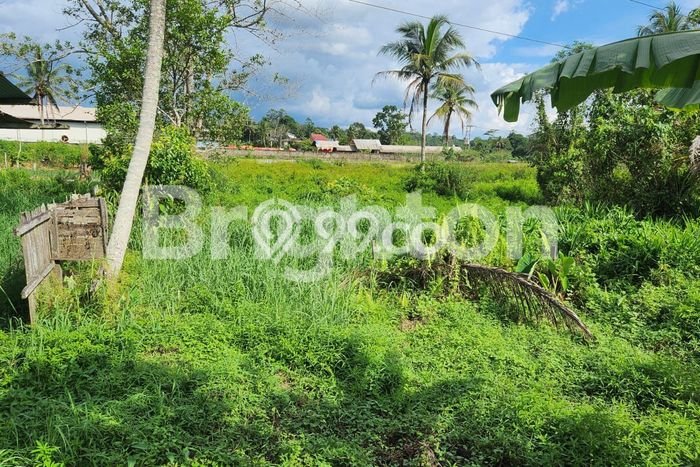 Tanah di Samarinda Utara, Samarinda Luas 3487m2 Dijual Segera Tanah di Samarinda Utara, Samarinda Luas 3487m2 Dijual Segera