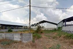 Kavling Tanah Dijual di Kedamean Gresik Spesifikasi 2700m2 Kavling Tanah Dijual di Kedamean Gresik Spesifikasi 2700m2