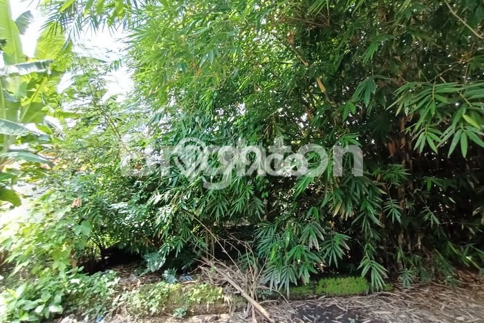 Kavling Tanah untuk Dijual di Boyolali Kota, Boyolali, Luas 135m2 Kavling Tanah untuk Dijual di Boyolali Kota, Boyolali, Luas 135m2