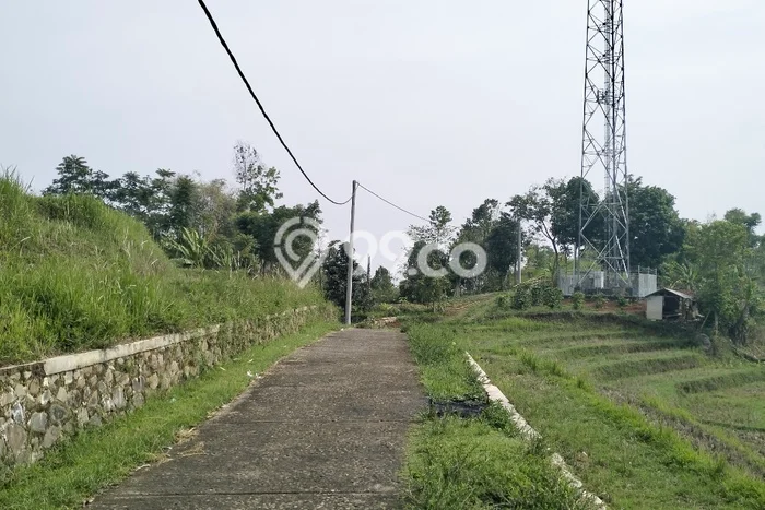 Kavling Tanah di Ciwidey Dijual Luas 19560m2 Legalitas SHM Kavling Tanah di Ciwidey Dijual Luas 19560m2 Legalitas SHM