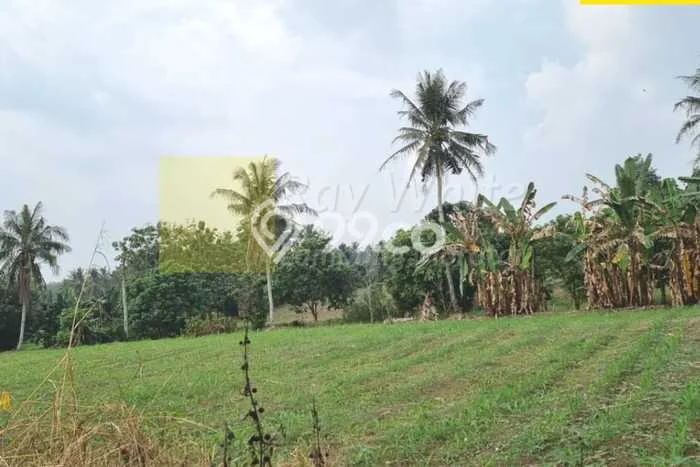Tanah di Natar, Lampung Selatan Luas 27815m2 Dijual Segera Tanah di Natar, Lampung Selatan Luas 27815m2 Dijual Segera