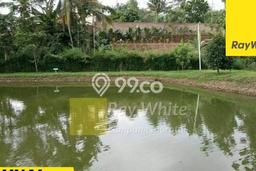 Kavling Tanah untuk Dijual di Gedong Tataan, Pesawaran, Luas 12153m2 Kavling Tanah untuk Dijual di Gedong Tataan, Pesawaran, Luas 12153m2