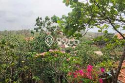Kavling Tanah Dijual di Tanjungsari Gunung Kidul Spesifikasi 2000m2 Kavling Tanah Dijual di Tanjungsari Gunung Kidul Spesifikasi 2000m2