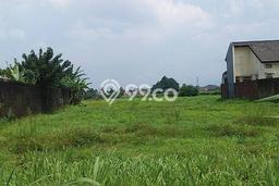 Tanah Dijual Lokasi Dramaga Bogor SHM Tanah Dijual Lokasi Dramaga Bogor SHM