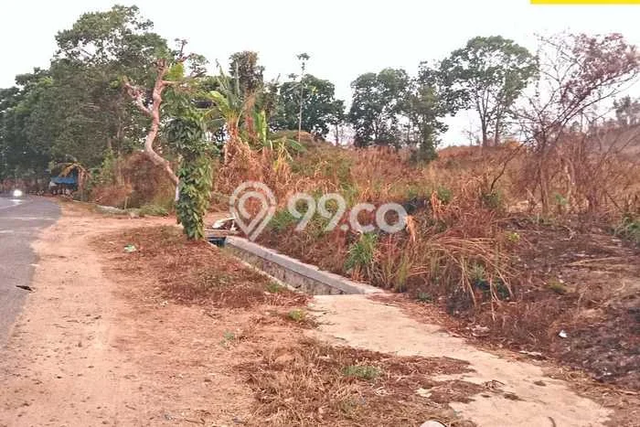 Tanah Siap Bangun Dijual di Pesawaran Punya Luas 24377m2 Tanah Siap Bangun Dijual di Pesawaran Punya Luas 24377m2