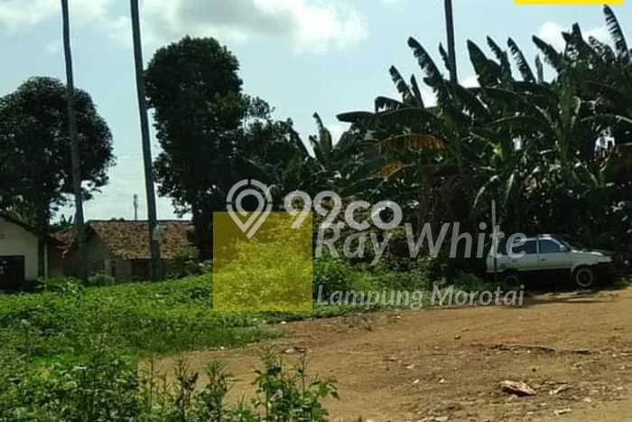 Tanah Kosong Dijual di Bandar Lampung dengan Area 1700m2 Tanah Kosong Dijual di Bandar Lampung dengan Area 1700m2