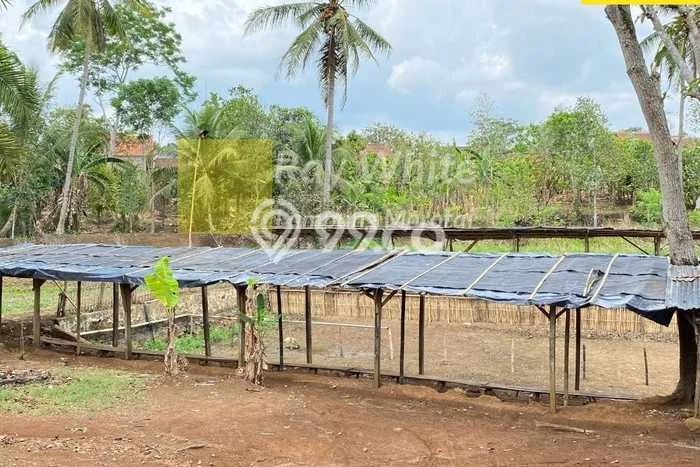 Kavling Tanah di Talang Padang Dijual Luas 16615m2 Legalitas SHM Kavling Tanah di Talang Padang Dijual Luas 16615m2 Legalitas SHM