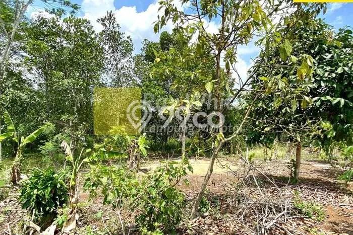 Kavling Tanah di Talang Padang Dijual Luas 16615m2 Legalitas SHM Kavling Tanah di Talang Padang Dijual Luas 16615m2 Legalitas SHM