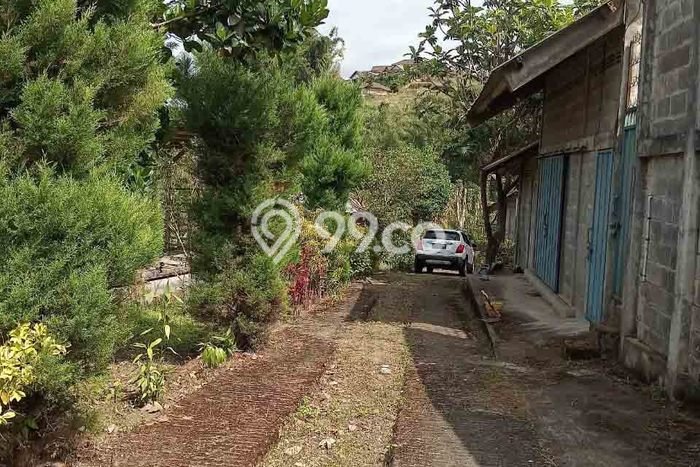 Tanah untuk Dijual Lokasi Pujon, Malang Luas 4656m2 SHM Tanah untuk Dijual Lokasi Pujon, Malang Luas 4656m2 SHM