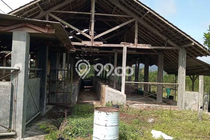 Tanah untuk Dijual Lokasi Pujon, Malang Luas 4656m2 SHM Tanah untuk Dijual Lokasi Pujon, Malang Luas 4656m2 SHM
