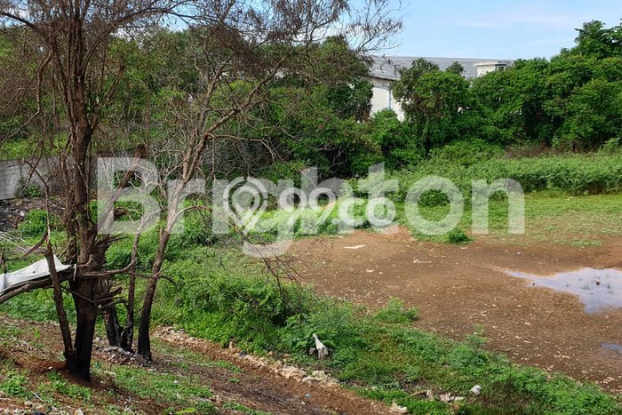 Jarang Ada! Tanah di Cikupa Punya Luas 3400m2 SHM Jarang Ada! Tanah di Cikupa Punya Luas 3400m2 SHM