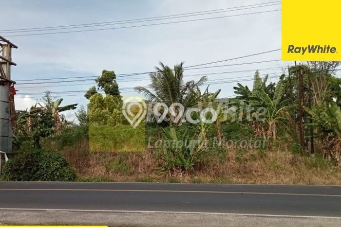 TANAH POTENSIAL! Tanah Kawasan Kalianda, Luas 1005m2m², Jalur Mudah TANAH POTENSIAL! Tanah Kawasan Kalianda, Luas 1005m2m², Jalur Mudah