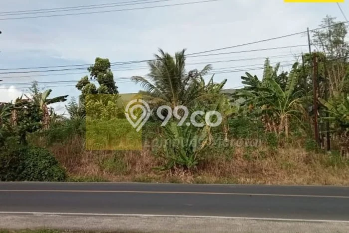 TANAH POTENSIAL! Tanah Kawasan Kalianda, Luas 1005m2m², Jalur Mudah TANAH POTENSIAL! Tanah Kawasan Kalianda, Luas 1005m2m², Jalur Mudah