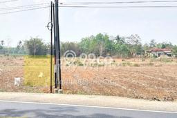Kavling Tanah Dijual di Tegineneng Pesawaran Spesifikasi 42000m2 Kavling Tanah Dijual di Tegineneng Pesawaran Spesifikasi 42000m2