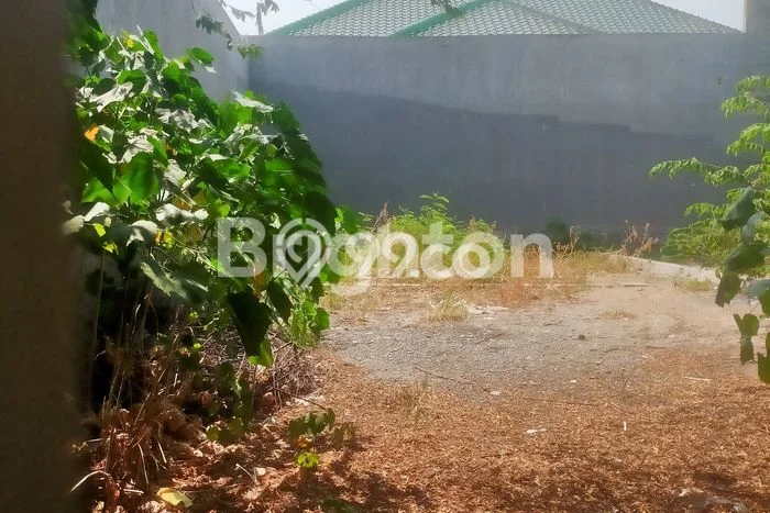 Tanah Kavling Disewakan di Majapahit dengan Luas 294m2 Tanah Kavling Disewakan di Majapahit dengan Luas 294m2