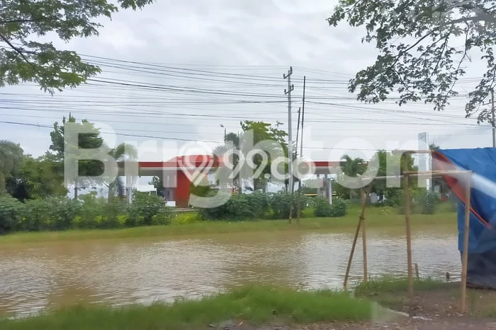 Dijual Tanah di Sayung Demak Luas 20000m2 SHM Dijual Tanah di Sayung Demak Luas 20000m2 SHM