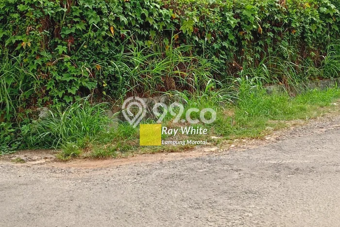 Jarang Ada! Tanah di Tanjung Karang Barat Punya Luas 297m2 SHM Jarang Ada! Tanah di Tanjung Karang Barat Punya Luas 297m2 SHM