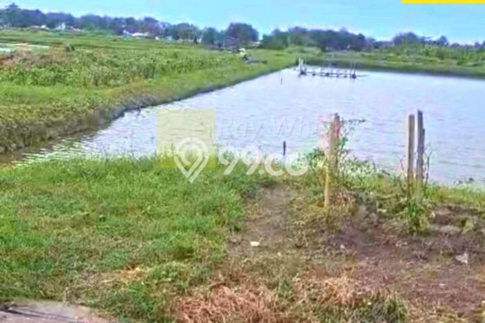 Tanah Kavling untuk Dijual di Labuhan Maringgai Lampung Timur 155190m2 Tanah Kavling untuk Dijual di Labuhan Maringgai Lampung Timur 155190m2