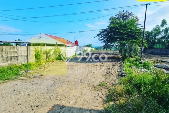 Jarang Ada! Tanah di Panjang Punya Luas 3086m2 SHM Jarang Ada! Tanah di Panjang Punya Luas 3086m2 SHM