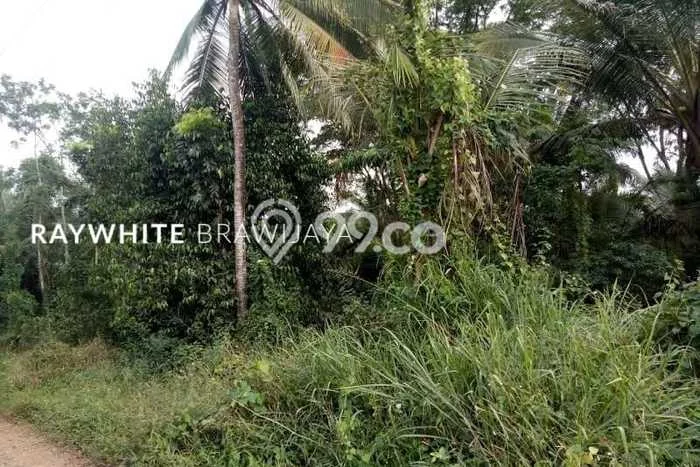 Tanah di Serang, Serang Luas 23640m2 Dijual Segera Tanah di Serang, Serang Luas 23640m2 Dijual Segera
