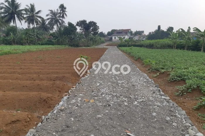 Tanah Premium Kawasan Ciampea, Luas 2076m², Akses Ciampea, Bogor, Bogor Tanah Premium Kawasan Ciampea, Luas 2076m², Akses Ciampea, Bogor, Bogor