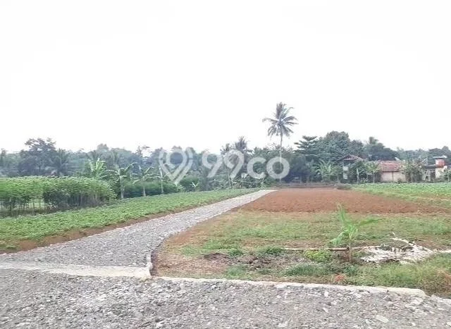 Tanah Premium Kawasan Ciampea, Luas 2076m², Akses Ciampea, Bogor, Bogor Tanah Premium Kawasan Ciampea, Luas 2076m², Akses Ciampea, Bogor, Bogor