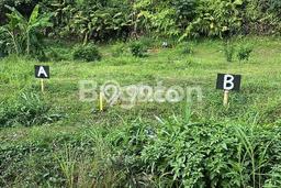 Jarang Ada! Tanah Kavling Disewakan di Depok 643m2 Jarang Ada! Tanah Kavling Disewakan di Depok 643m2