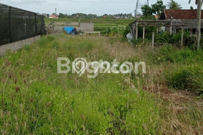 Kavling Tanah untuk Disewa di Kapal Lahan Luas 950m2 Kavling Tanah untuk Disewa di Kapal Lahan Luas 950m2