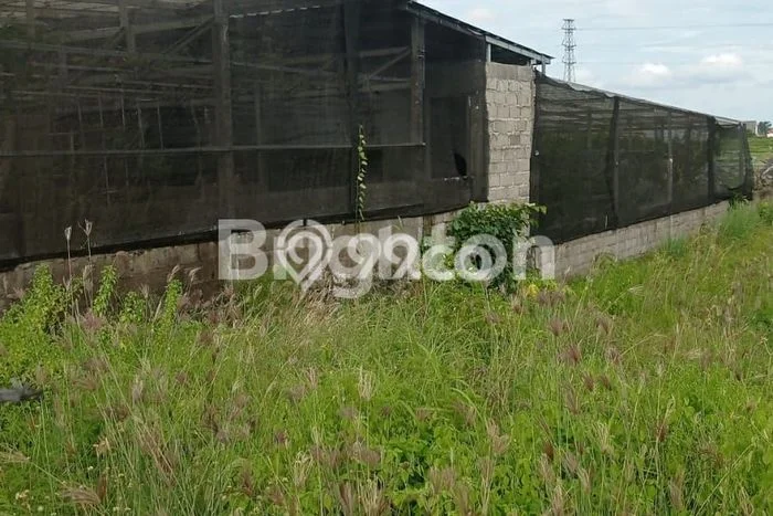 Kavling Tanah untuk Disewa di Kapal Lahan Luas 950m2 Kavling Tanah untuk Disewa di Kapal Lahan Luas 950m2
