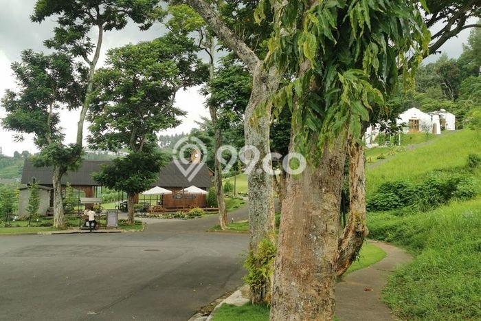 Kavling Tanah di Prigen Dijual Luas 1405m2 Legalitas - Kavling Tanah di Prigen Dijual Luas 1405m2 Legalitas -