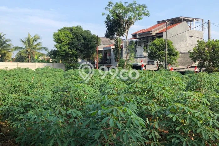 Jarang Ada! Tanah di Sukaraja Punya Luas 500m2 SHM Jarang Ada! Tanah di Sukaraja Punya Luas 500m2 SHM