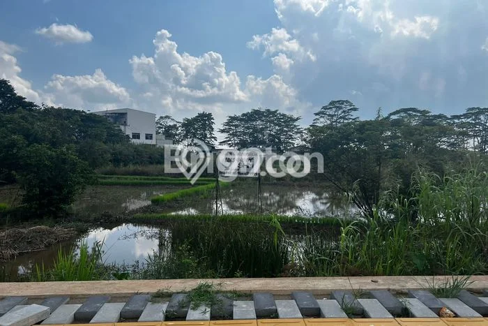 Untuk Dijual Tanah di Kertapati Palembang Luas 4600m2 SHM Untuk Dijual Tanah di Kertapati Palembang Luas 4600m2 SHM