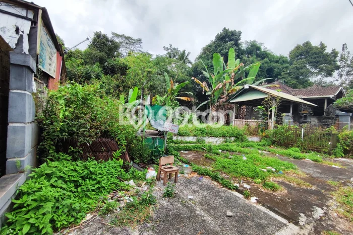 Jual Tanah di Baturiti, Luas 300m², Lingkungan Asri, Kontur Rata Jual Tanah di Baturiti, Luas 300m², Lingkungan Asri, Kontur Rata
