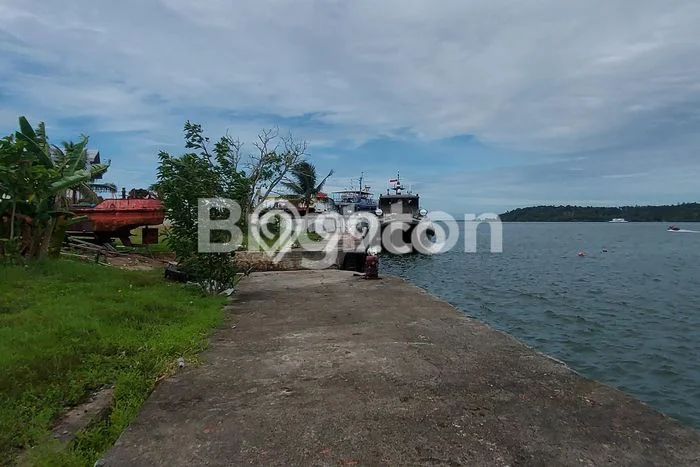 Jarang Ada! Tanah di Balikpapan Barat Punya Luas 6000m2 SHM Jarang Ada! Tanah di Balikpapan Barat Punya Luas 6000m2 SHM