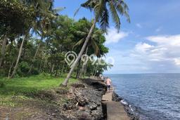 Tanah Dijual Area Strategis di Sambirenteng Buleleng 7000m2 Tanah Dijual Area Strategis di Sambirenteng Buleleng 7000m2